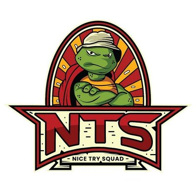 Trademark Nice Try Squad (NTS Nice Try Squad + LOGO)