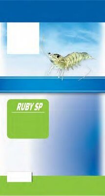 Trademark RUBY SP