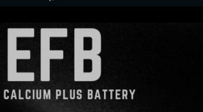 Trademark EFB Calcium Plus Battery