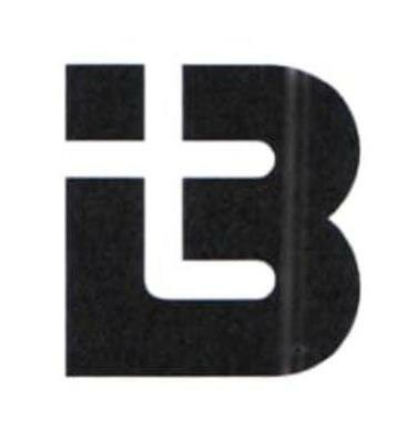 Trademark Logo BAITE