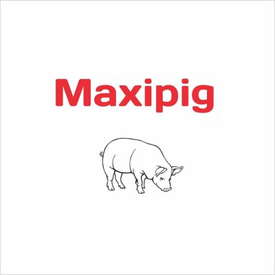 Trademark MAXIPIG