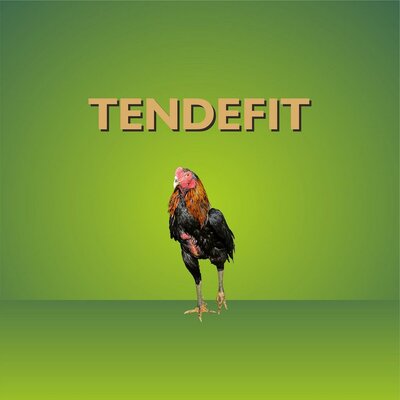 Trademark TENDEFIT