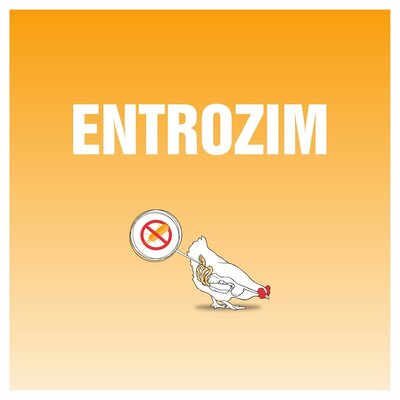 Trademark ENTROZIM