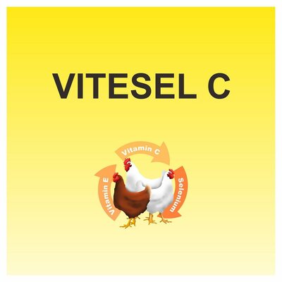 Trademark VITESEL C