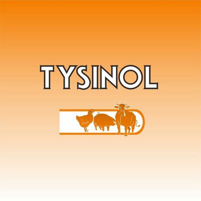 Trademark TYSINOL