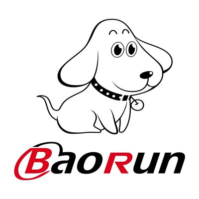 Trademark BAORUN