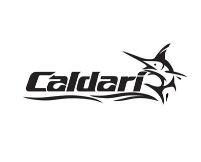 Trademark CALDARI + LOGO