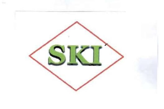 Trademark SKI