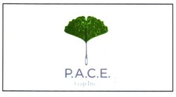 Trademark PACE GAP INC