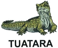 Trademark TUATARA