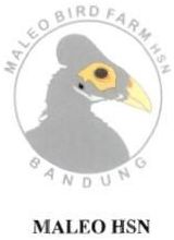 Trademark MALEO HSN + LOGO