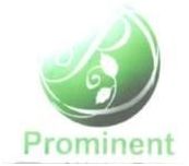 Trademark PROMINENT+LOGO