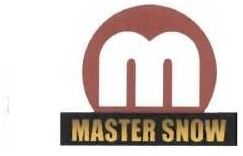 Trademark MASTER SNOW + LOGO