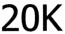 Trademark 20K