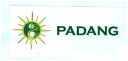 Trademark PADANG + LOGO