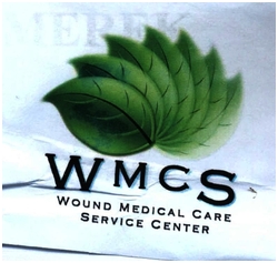 Trademark WMCS + LOGO