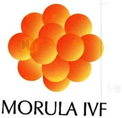 Trademark MORULA IVF