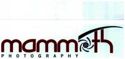 Trademark Mammoth + logo