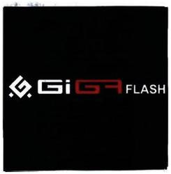 Trademark GIGA FLASH