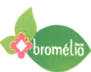 Trademark BROMELIA FLORIST