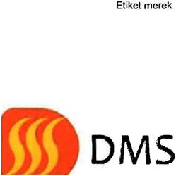 Trademark DMS + logo