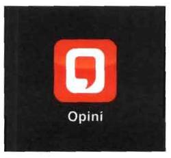 Trademark OPINI