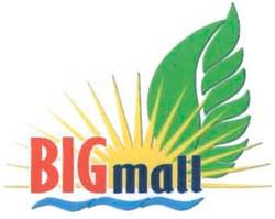 Trademark BIG MALL