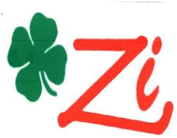 Trademark ZI + LOGO