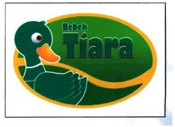 Trademark Bebek Tiara