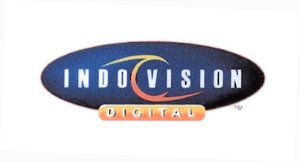 Trademark INDOVISION