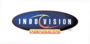 Trademark INDOVISION