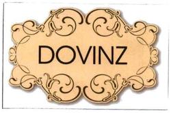 Trademark DOVINZ DAN LOGO