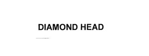 Trademark DIAMOND HEAD