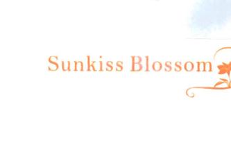 Trademark Sunkiss Blossom