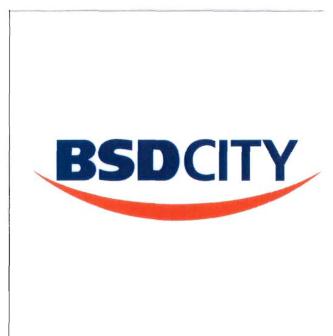 Trademark BSD CITY