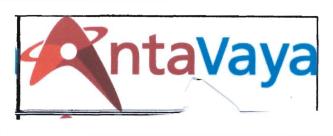 Trademark ANTAVAYA