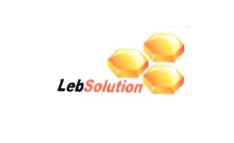 Trademark LEBSOLUTION + LOGO