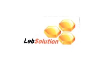 Trademark LEBSOLUTION + LOGO