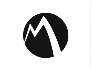 Trademark LOGO M