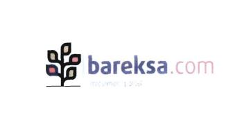 Trademark BAREKSA.COM