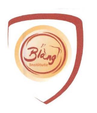 Trademark BLANG INSTITUTE