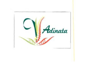 Trademark ADINATA