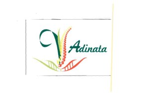 Trademark ADINATA