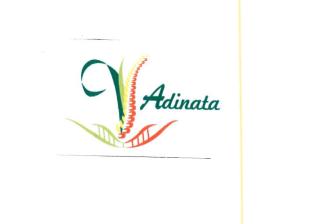 Trademark ADINATA