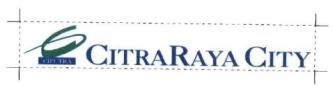 Trademark CITRARAYA CITY