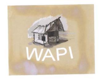 Trademark WAPI