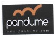 Trademark PANDUME - WWW.PANDUME+LOGO