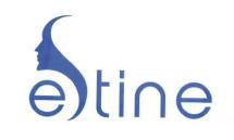Trademark ESTINE