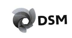 Trademark DSM + LOGO