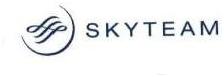 Trademark LOGO DAN TULISAN SKYTEAM